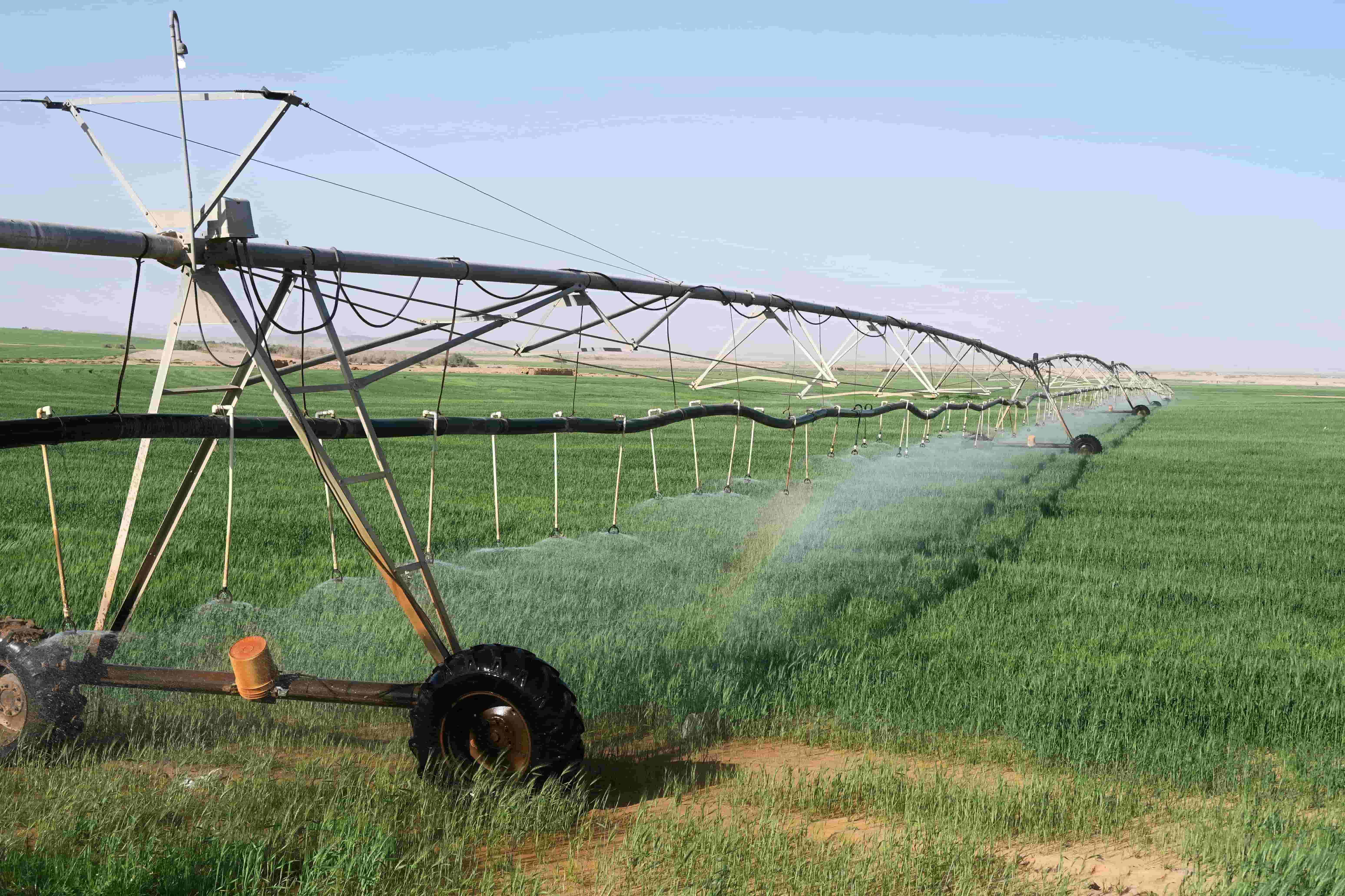 Irrigation Farming